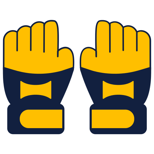 MMA UFC icon