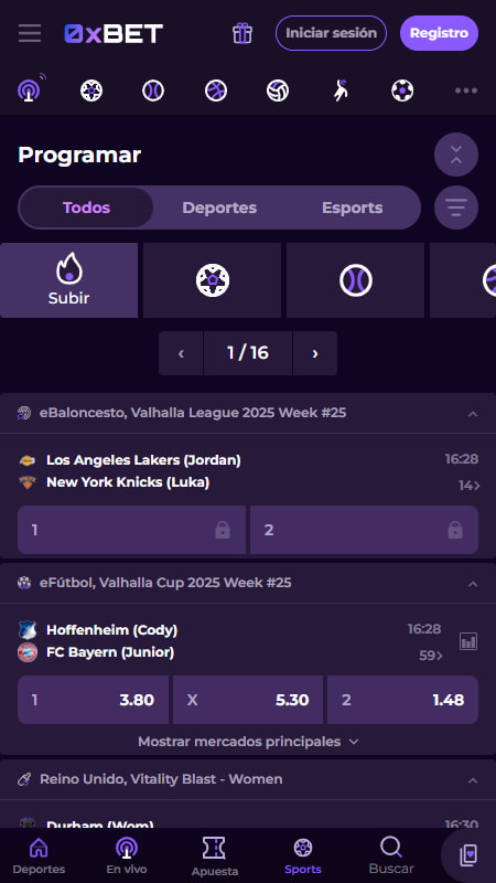 0xBet Bookmaker sports betting