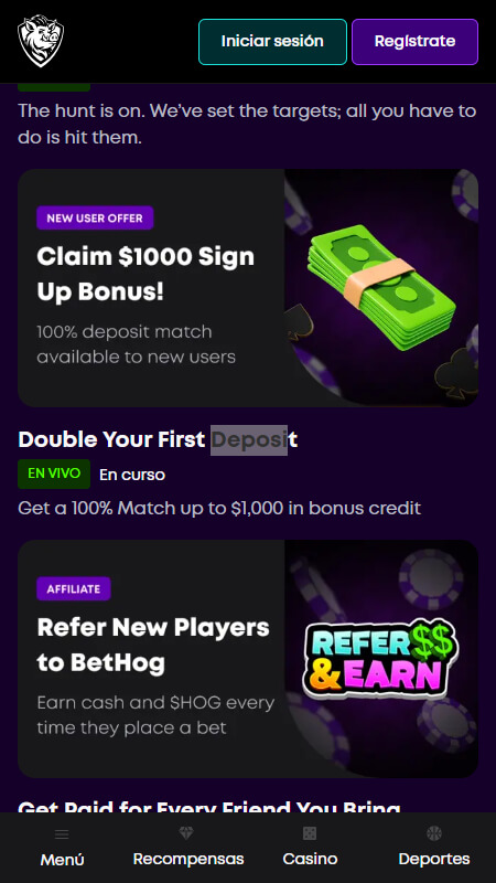 BetHog bonuses de casino