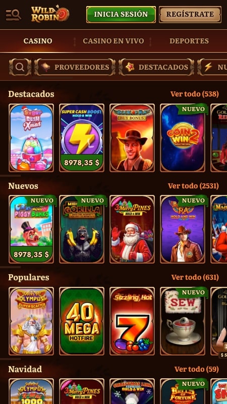 Interfaz del casino de WildRobin