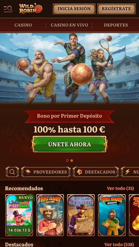 Página principal de la casa de apuestas WildRobin
