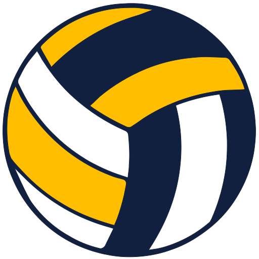 Voleyball