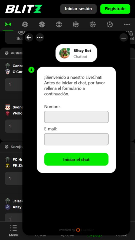 Blitz customer support